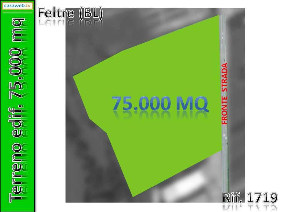 terreno edificabile in vendita a Feltre