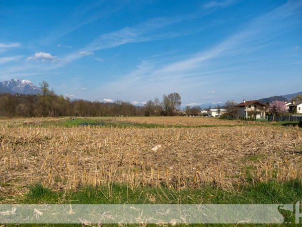 terreno agricolo in vendita a Feltre in zona Mugnai