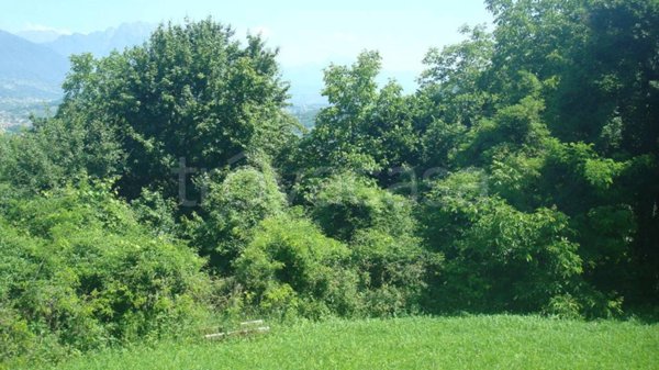 terreno agricolo in vendita a Feltre