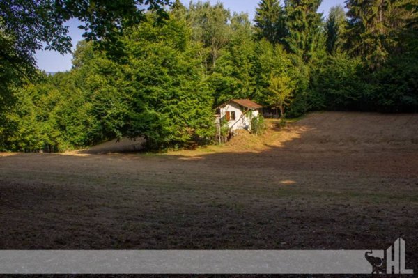 casa indipendente in vendita a Fonzaso