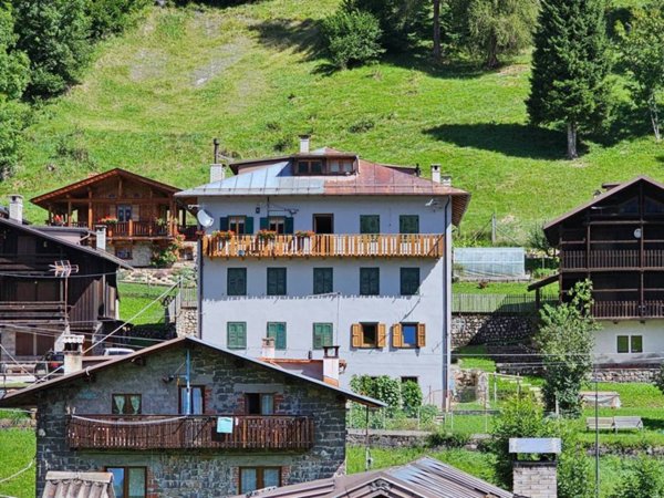 appartamento in vendita a Canale d'Agordo in zona Fregona