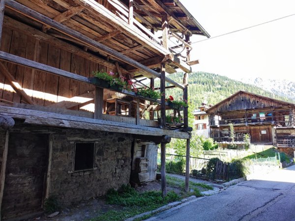 pentavano in vendita a Canale d'Agordo