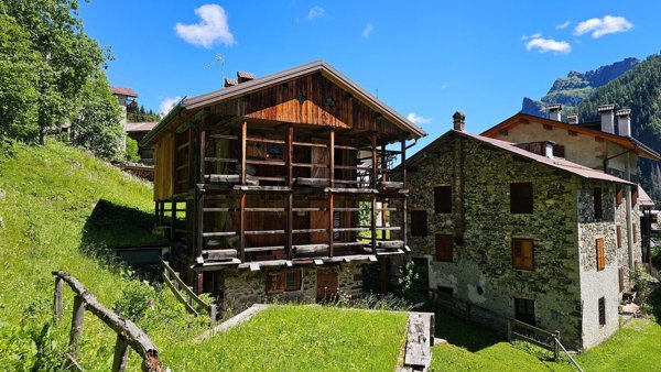 pentavano in vendita a Canale d'Agordo in zona Garés