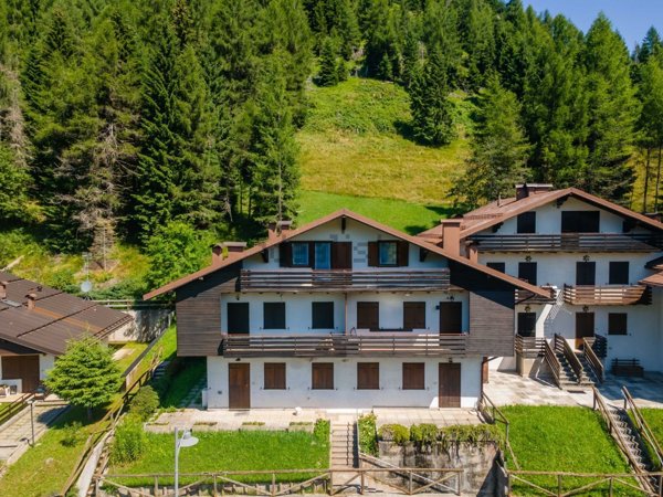 appartamento in vendita a Gosaldo in zona Forcella Aurine