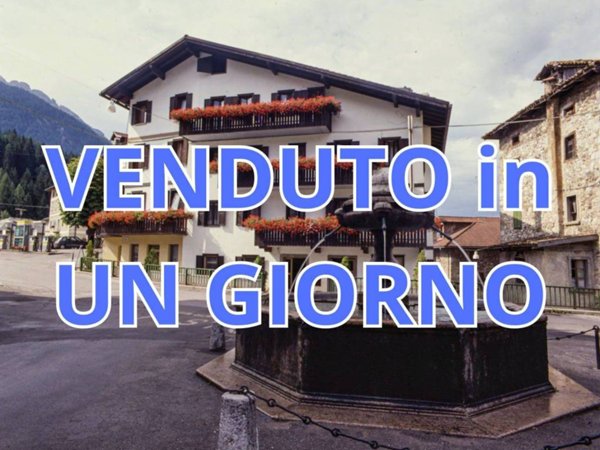 negozio in vendita a Lorenzago di Cadore