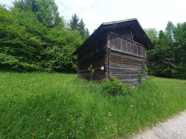 casa indipendente in vendita a Lozzo di Cadore