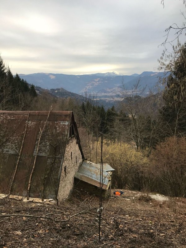 appartamento in vendita a Pedavena