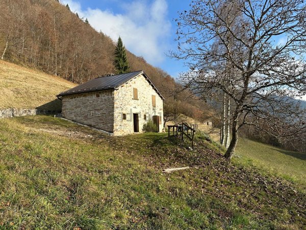 appartamento in vendita a Pedavena