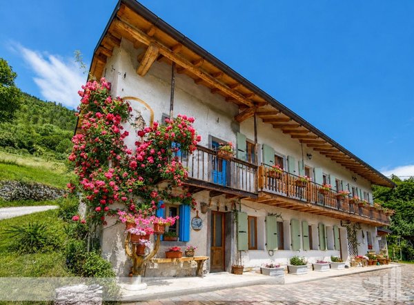 casa indipendente in vendita a Pedavena