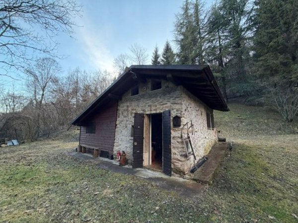 appartamento in vendita a Pedavena