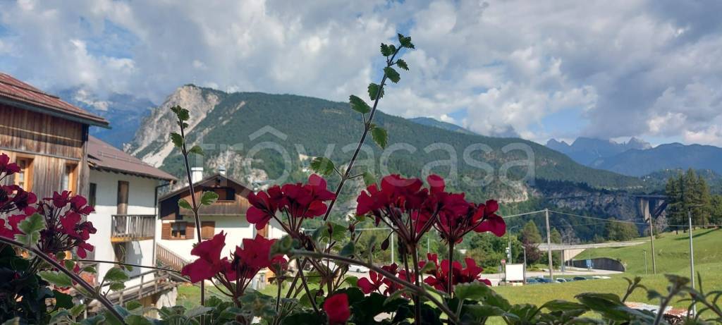 appartamento in vendita a Perarolo di Cadore in zona Caralte