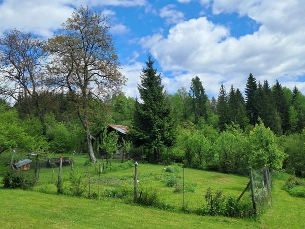 casa indipendente in vendita a Pieve di Cadore