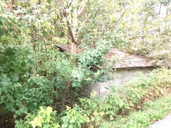 terreno agricolo in vendita a Pieve di Cadore in zona Sottocastello