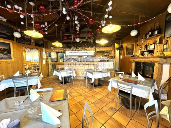 trivano in vendita a Pieve di Cadore in zona Tai
