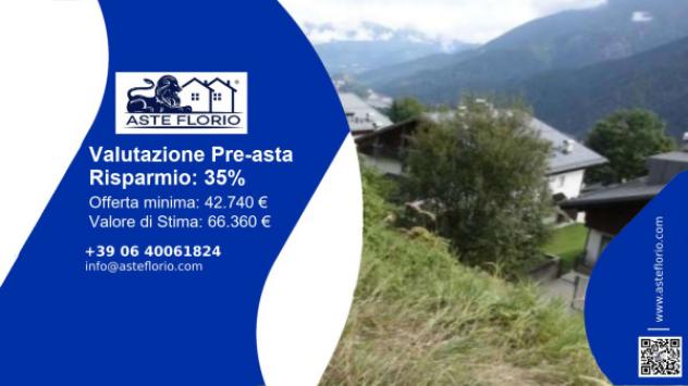 terreno agricolo in vendita a Pieve di Cadore