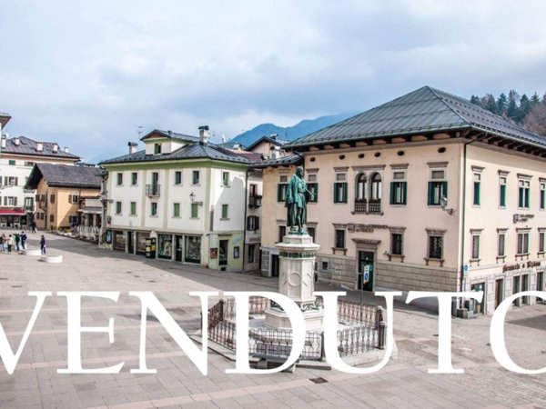 appartamento in vendita a Pieve di Cadore