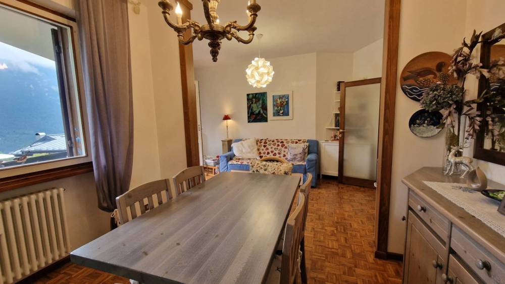 immagine annuncio 0 di 14