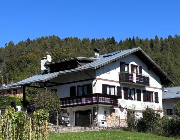 casa indipendente in vendita a Pieve di Cadore in zona Pozzale