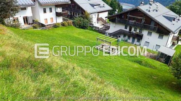 terreno agricolo in vendita a Pieve di Cadore