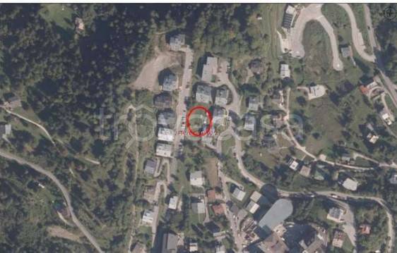 terreno agricolo in vendita a Pieve di Cadore