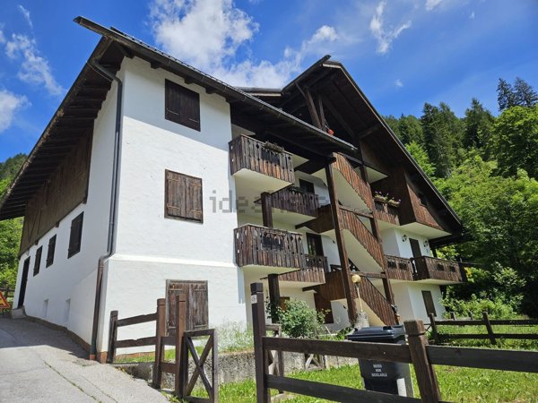 appartamento in vendita a Pieve di Cadore