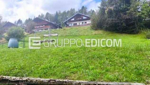 terreno agricolo in vendita a Pieve di Cadore