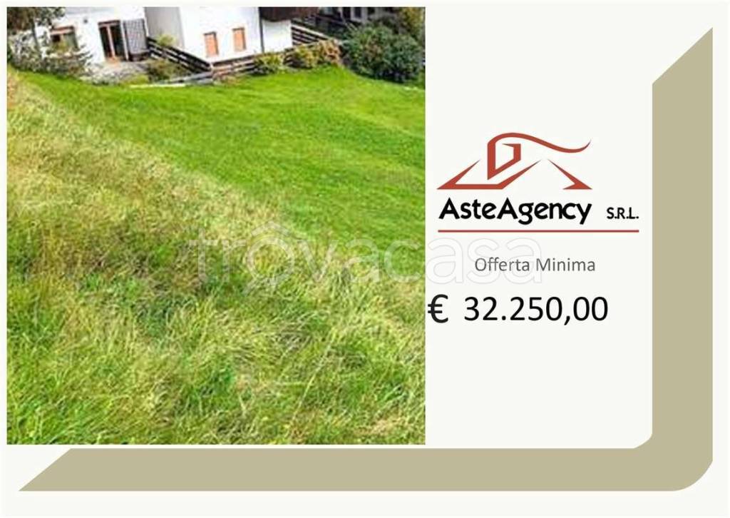 terreno agricolo in vendita a Pieve di Cadore in zona Tai