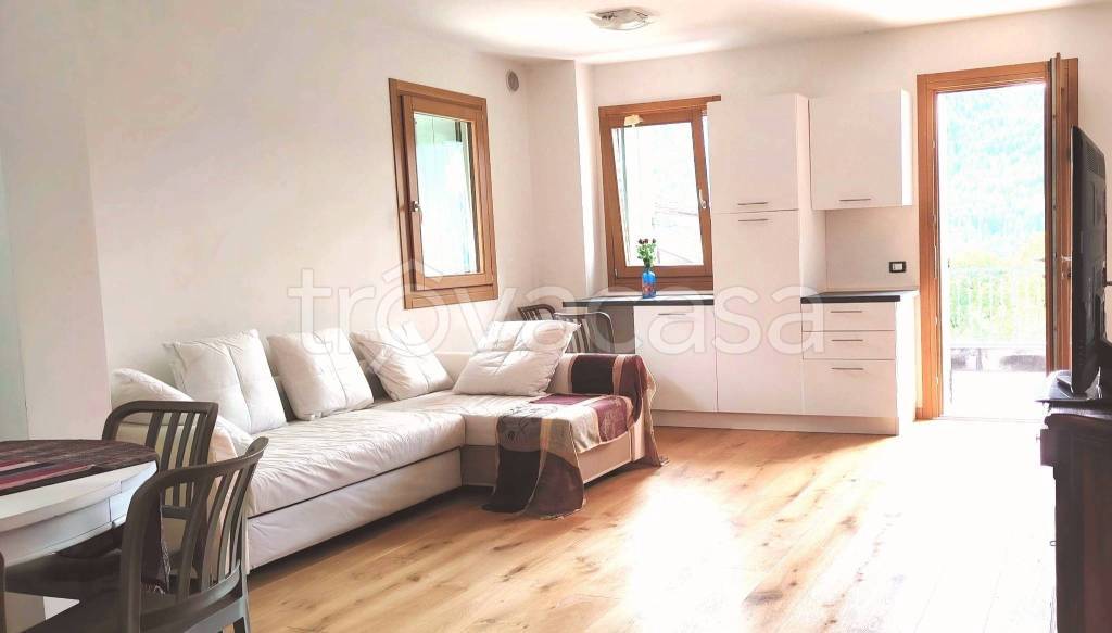 appartamento in vendita a Pieve di Cadore in zona Nebbiù