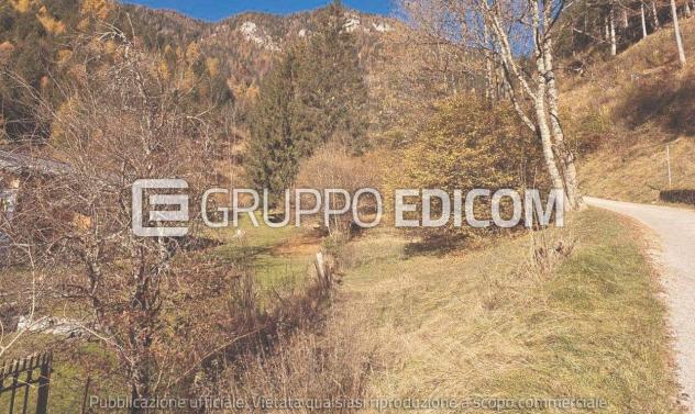 terreno in vendita a Pieve di Cadore
