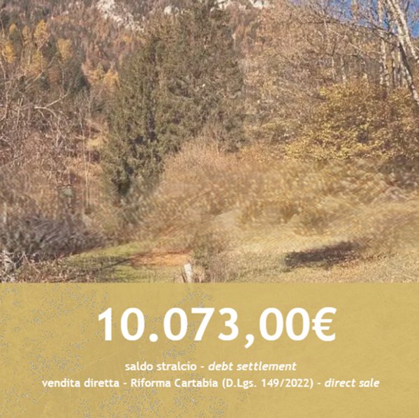 terreno in vendita a Pieve di Cadore in zona Nebbiù