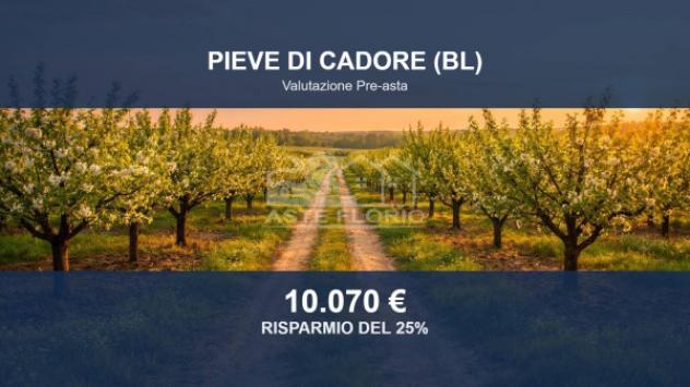 terreno agricolo in vendita a Pieve di Cadore in zona Nebbiù