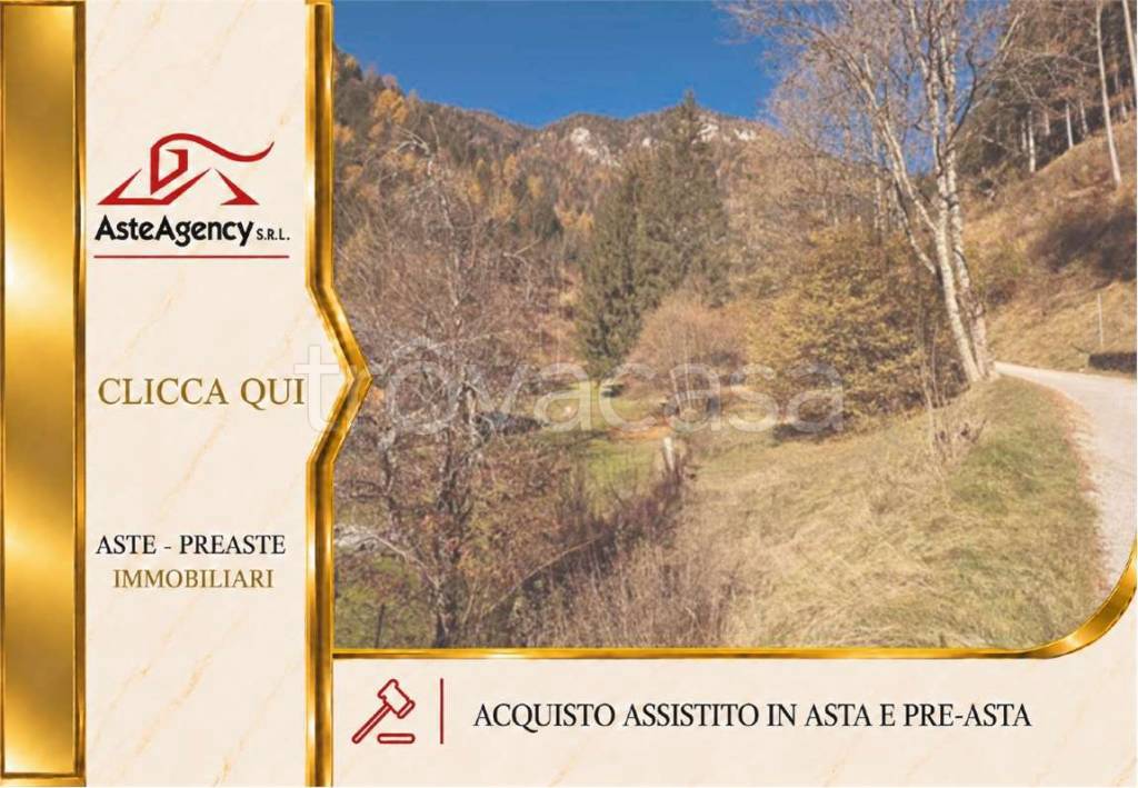 terreno in vendita a Pieve di Cadore in zona Nebbiù
