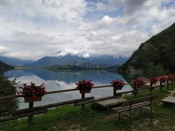 quadrivano in vendita a Ponte nelle Alpi