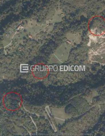 terreno agricolo in vendita a Ponte nelle Alpi in zona Cadola