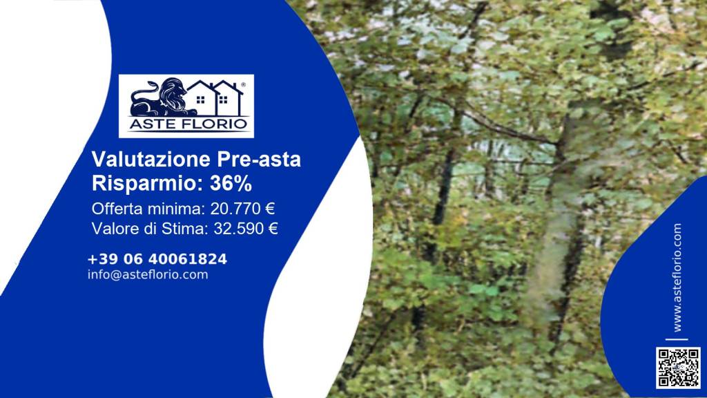 terreno agricolo in vendita a Ponte nelle Alpi in zona Reveane