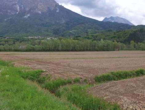 terreno agricolo in vendita a Ponte nelle Alpi