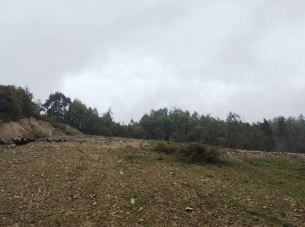 terreno agricolo in vendita a Ponte nelle Alpi in zona Cadola