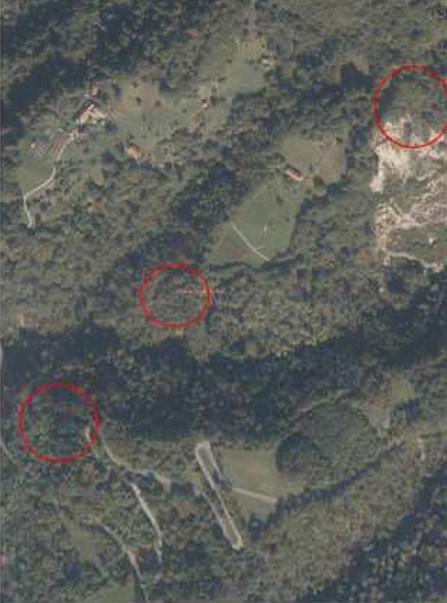 terreno agricolo in vendita a Ponte nelle Alpi in zona Reveane