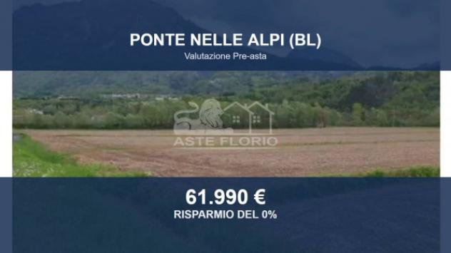 terreno agricolo in vendita a Ponte nelle Alpi