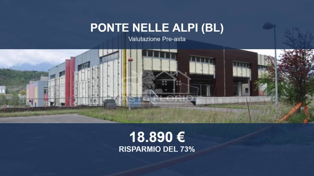 locale commerciale in vendita a Ponte nelle Alpi in zona Roncan