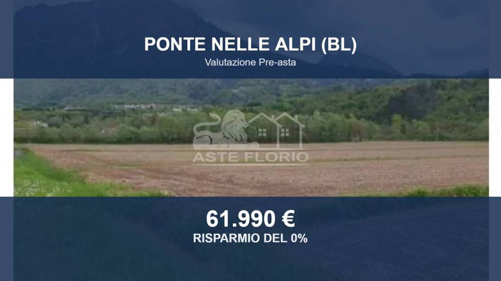 terreno agricolo in vendita a Ponte nelle Alpi in zona Cadola