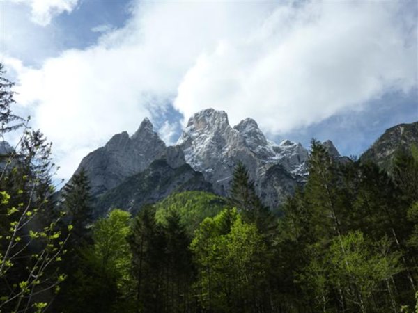 terreno agricolo in vendita a Rivamonte Agordino