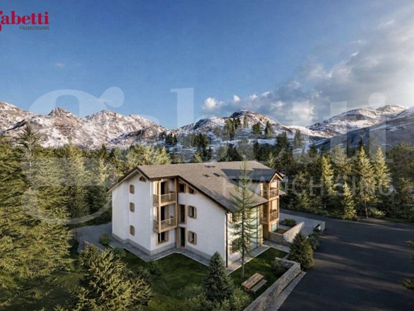 appartamento in vendita a Rocca Pietore in zona Malga Ciapela