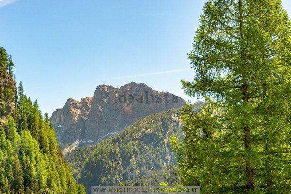 appartamento in vendita a Rocca Pietore in zona Malga Ciapela