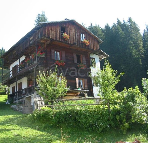 appartamento in vendita a San Pietro di Cadore