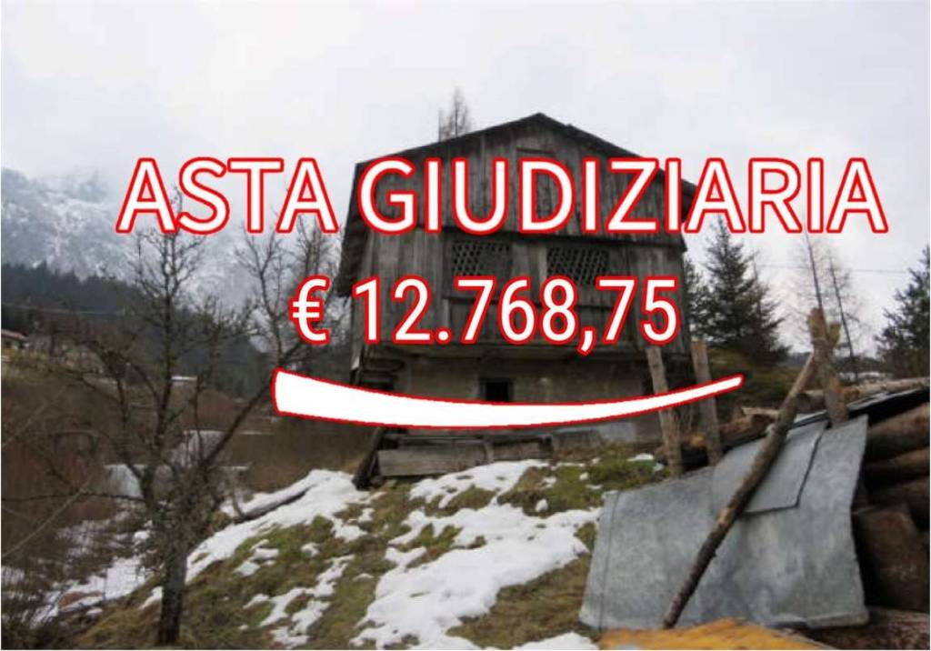 locale commerciale in vendita a San Pietro di Cadore in zona Presenaio