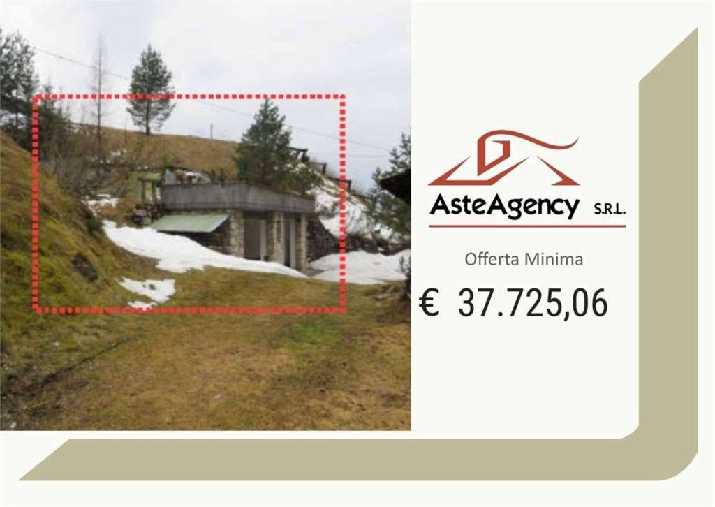 terreno agricolo in vendita a San Pietro di Cadore in zona Presenaio