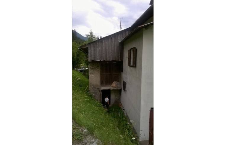 casa indipendente in vendita a San Pietro di Cadore in zona Presenaio
