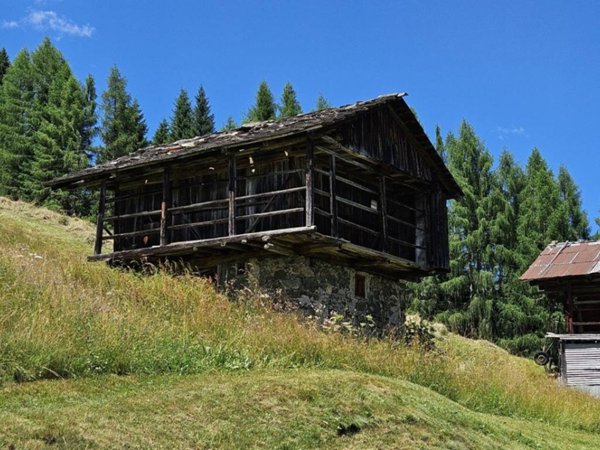 casa indipendente in vendita a San Pietro di Cadore