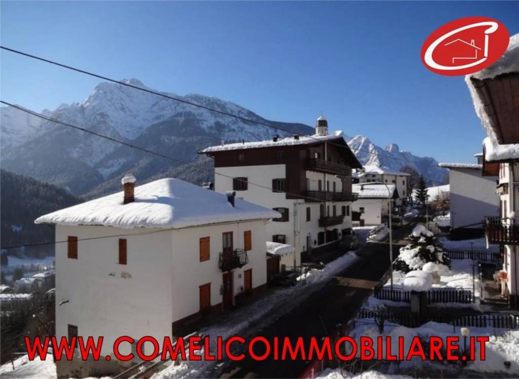 appartamento in vendita a San Pietro di Cadore
